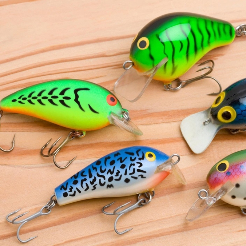 6 Stück Angelköder-Malvorlagen – Fishing Equipment Gear Bewertung und Preis